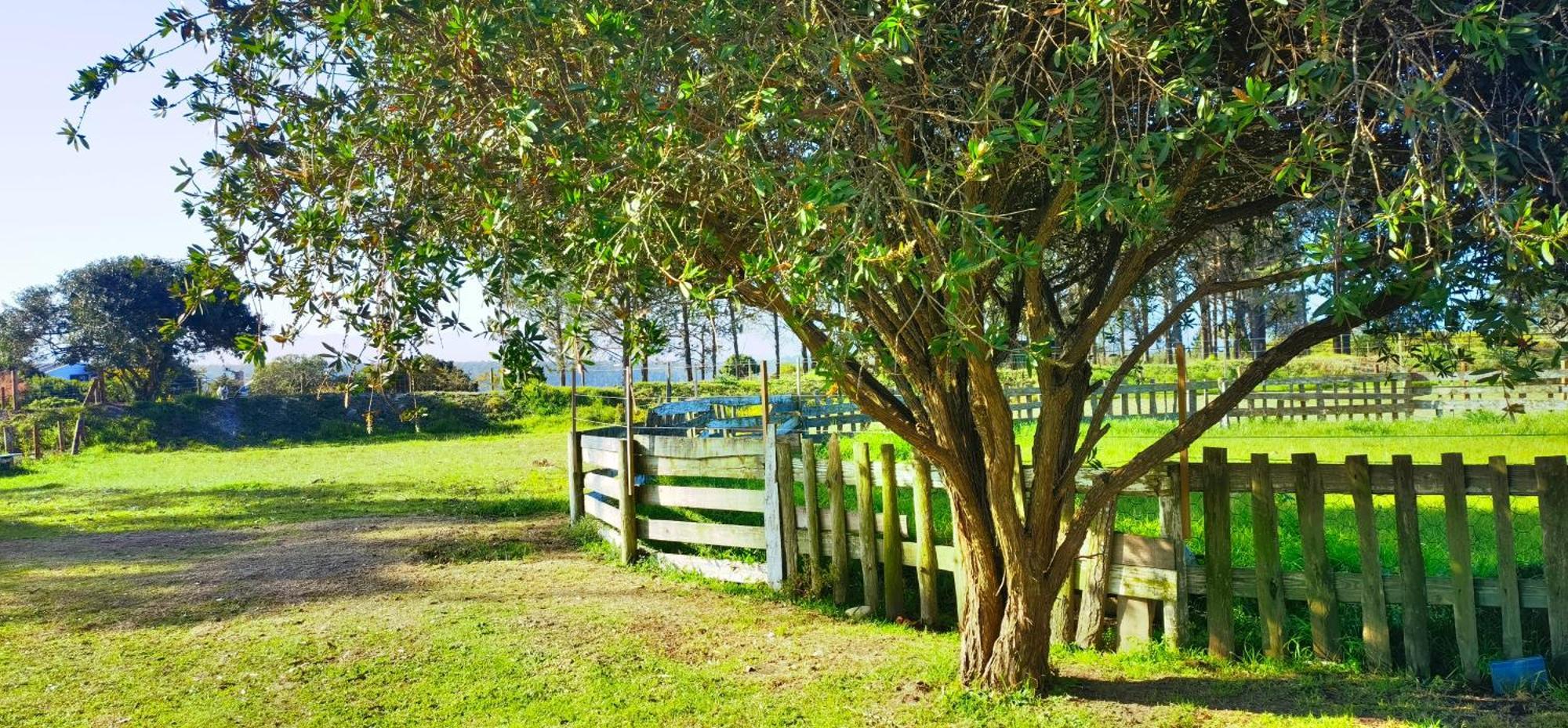 Moonsong Accommodation & Camping Plettenberg Bay Ngoại thất bức ảnh