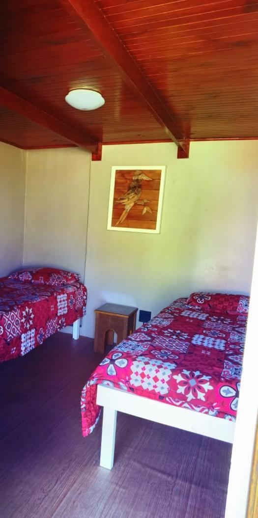 Moonsong Accommodation & Camping Plettenberg Bay Ngoại thất bức ảnh